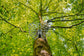 UIIHUNT Hunting Saddles Platform