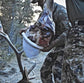 4-Pack Reusable Meat Game Bags